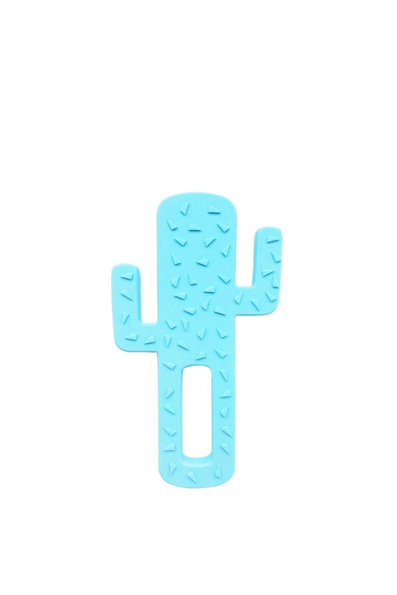 Minikoioi glodalica Cactus plava 